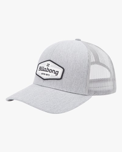 Billabong Walled Trucker Hat Gris | TNREOU857