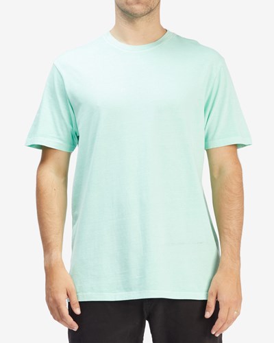 Billabong Wave Washed Corta Sleeve T-Shirt Verde Menta | AHIGSQ978