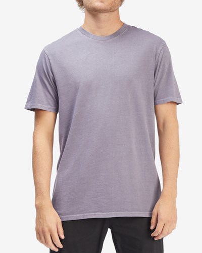 Billabong Wave Washed Corta Sleeve T-Shirt Moradas | LEHWXJ856