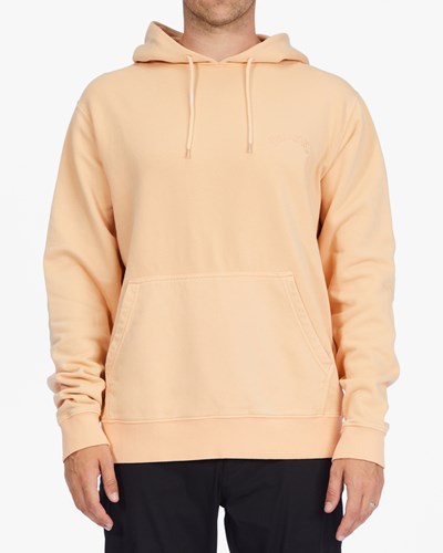 Billabong Wave Washed Pullover Hoodie Rosas | OQGVTY278