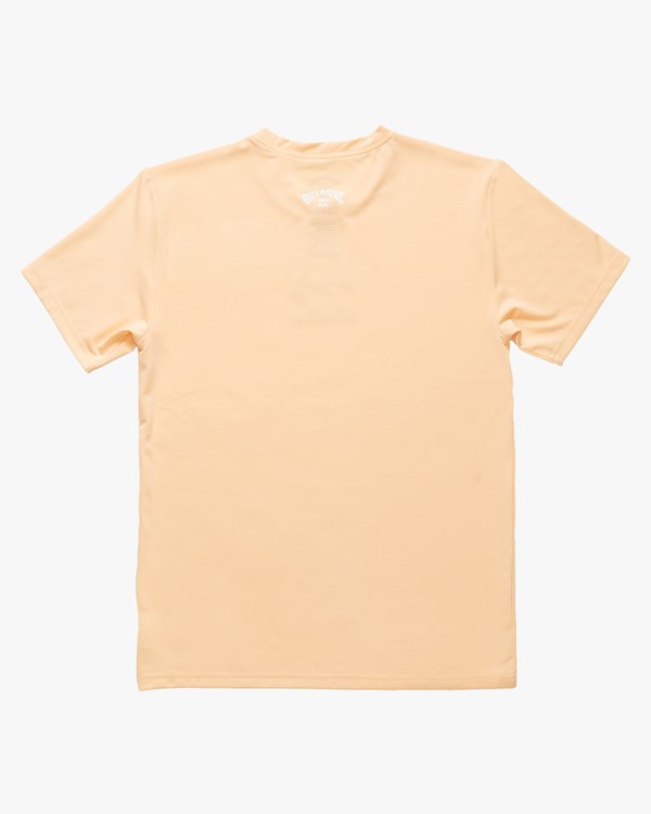 Billabong (2-7) All Day Wave Loose Fit Corta Sleeve Surf Tee Dusty Melon | RNPAJI506