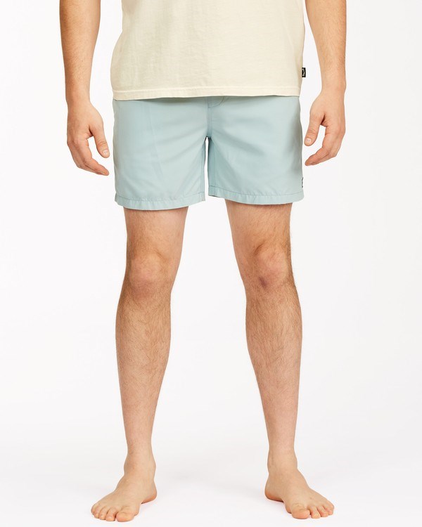 Billabong All Day Layback Boardshorts 16