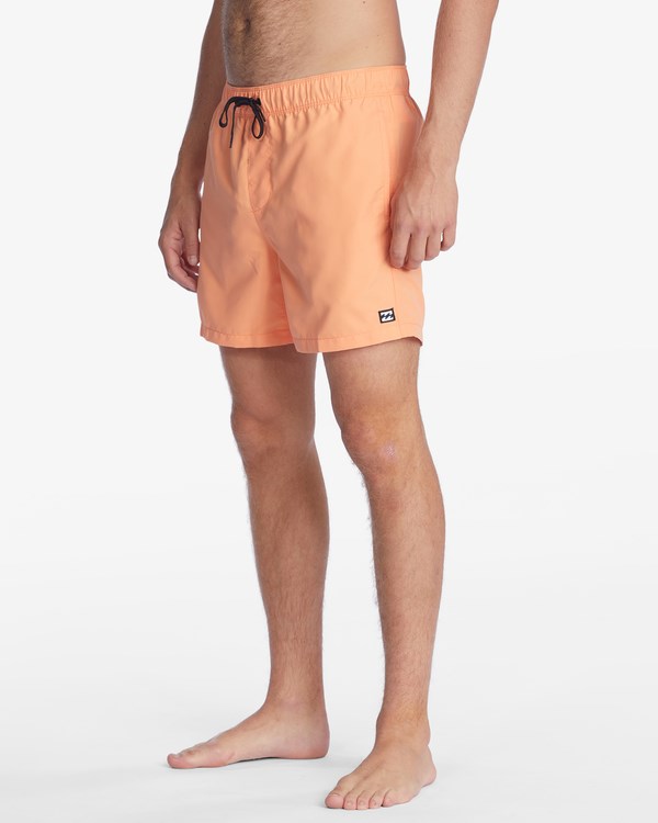 Billabong All Day Layback Boardshorts 16