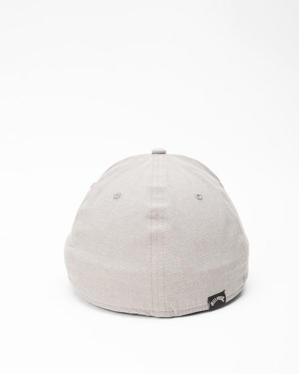 Billabong All Day Stretch Fit Hat Gris | EGMDYH271