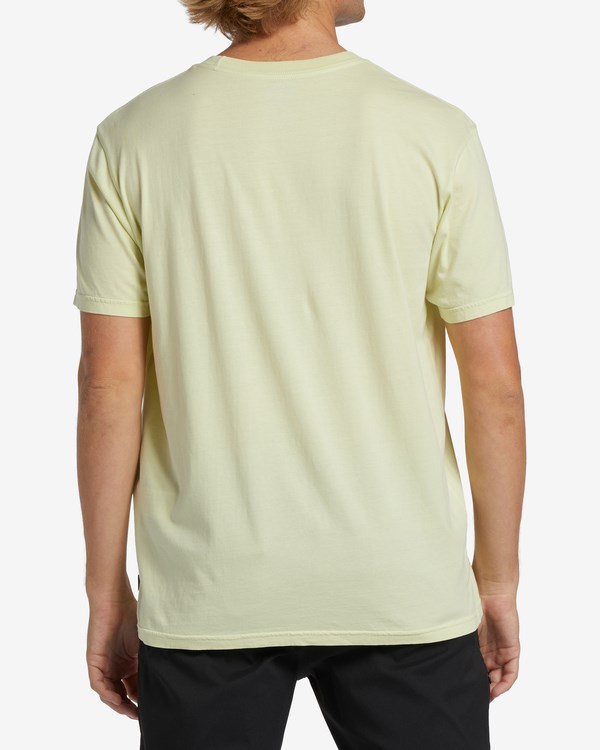 Billabong Chest Wave Washed Corta Sleeve T-Shirt Verde Claro | SDXGRA231