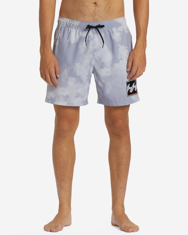 Billabong D'Bah Layback Boardshorts 17