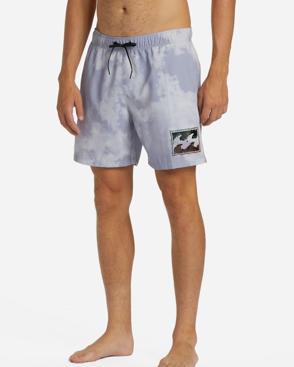 Billabong D'Bah Layback Boardshorts 17