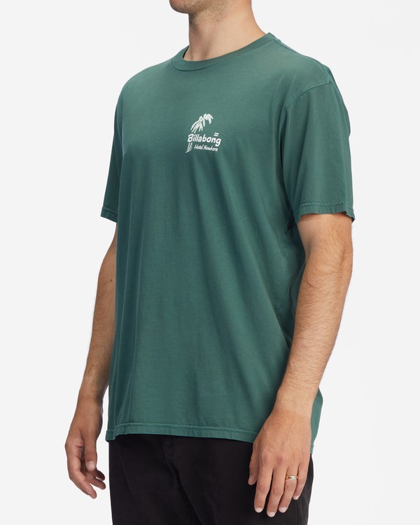 Billabong Leaves Wave Washed Corta Sleeve T-Shirt Alpine | FRUIPD560