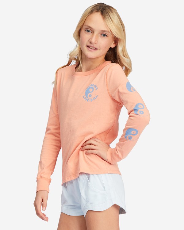 Billabong Love Is All Long Sleeve Estampadas Boyfriend T-Shirt Canyon Sunset | NEHVBX789