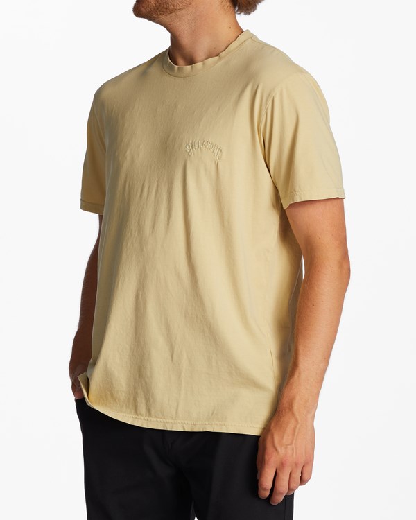 Billabong Mesa Wave Washed Organic Corta Sleeve T-Shirt Straw | AGNBWI479