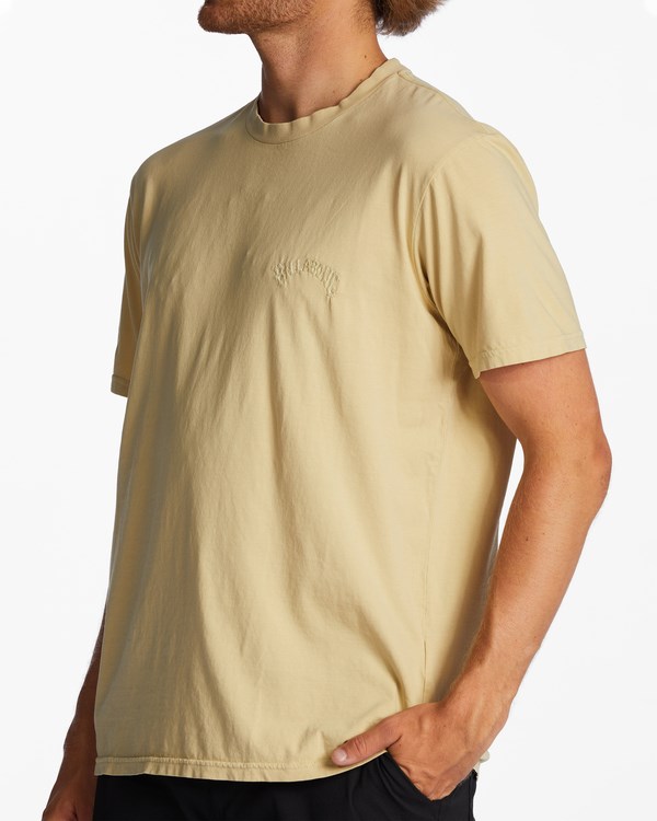 Billabong Mesa Wave Washed Organic Corta Sleeve T-Shirt Straw | HDYBPS267