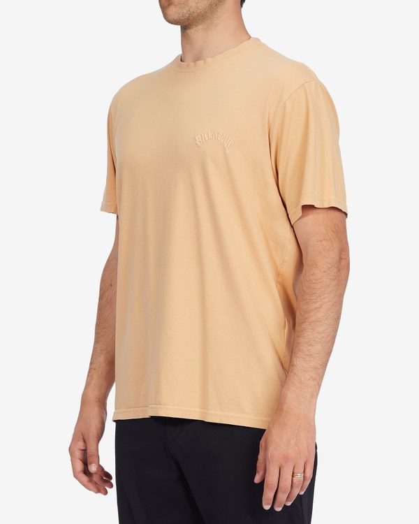 Billabong Mesa Wave Washed Organic Corta Sleeve T-Shirt Rosas | LZBYWG841