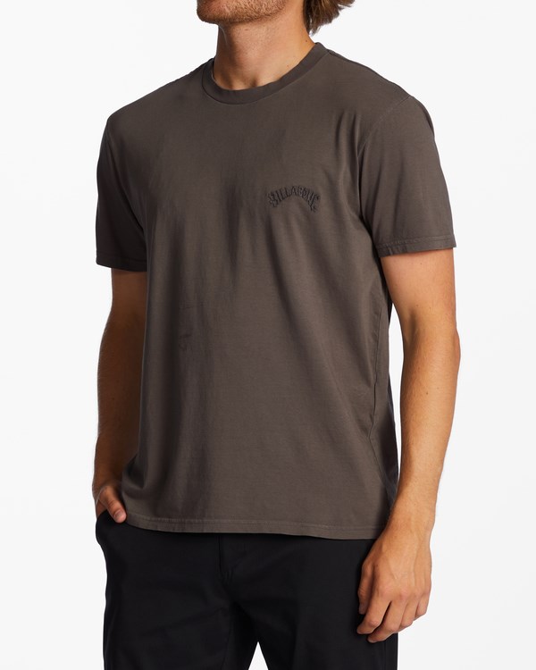 Billabong Mesa Wave Washed Organic Corta Sleeve T-Shirt Asphalt | NCPJAK435