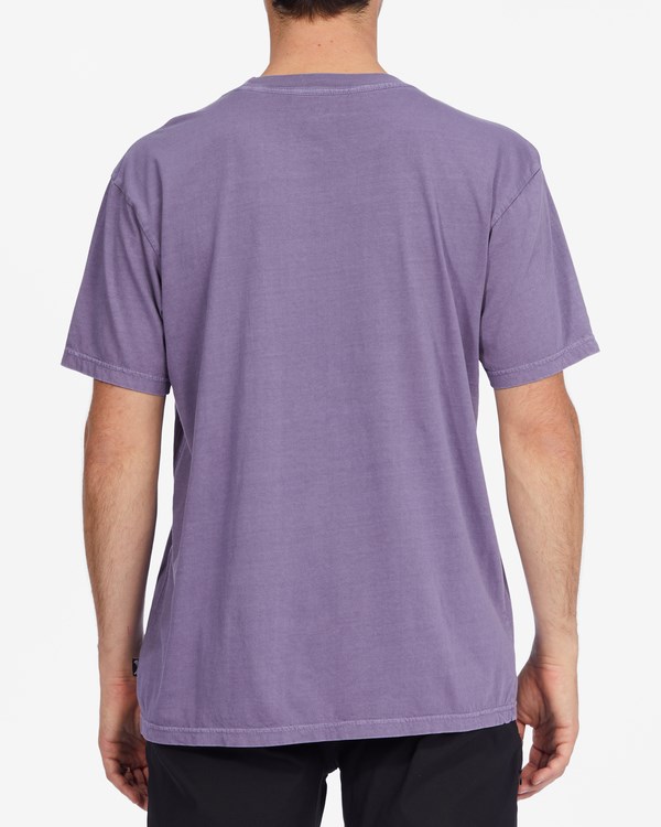 Billabong Quantum Wave Washed Corta Sleeve T-Shirt Moradas | XCIPER794