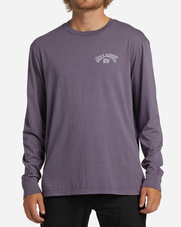 Billabong Theme Arch Wave Washed Long Sleeve T-Shirt Moradas | PQCTFR706