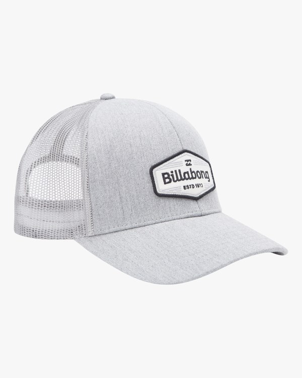 Billabong Walled Trucker Hat Gris | TNREOU857