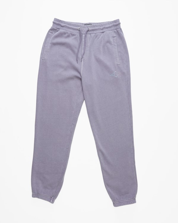 Billabong Wave Washed Unity Sweatpants Moradas | NMTPWH278