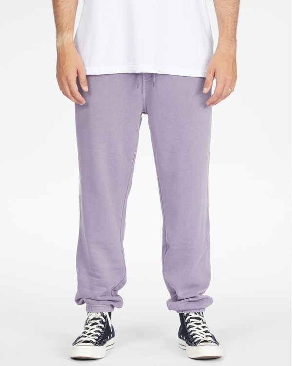 Billabong Wave Washed Unity Sweatpants Moradas | NMTPWH278